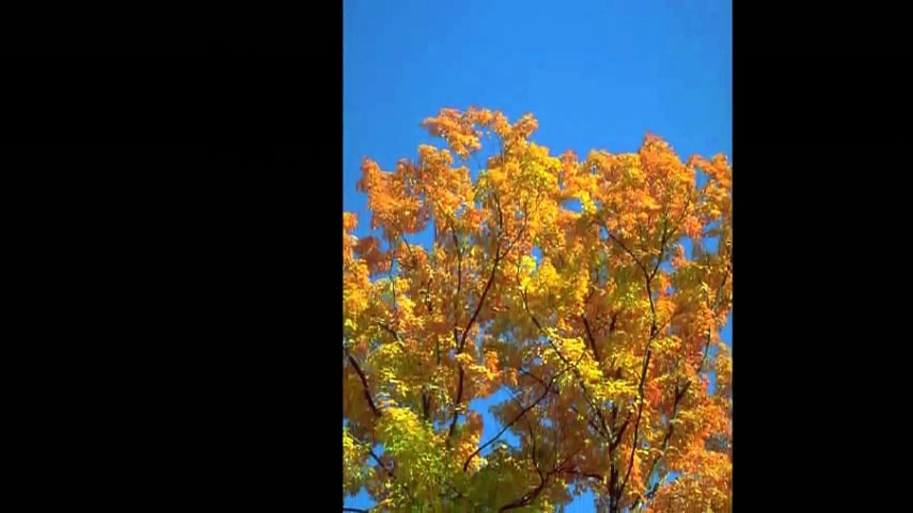 My Spirit Is Free (Part two) - Nostalgia - (1994 album) Is Your Spirit Free-