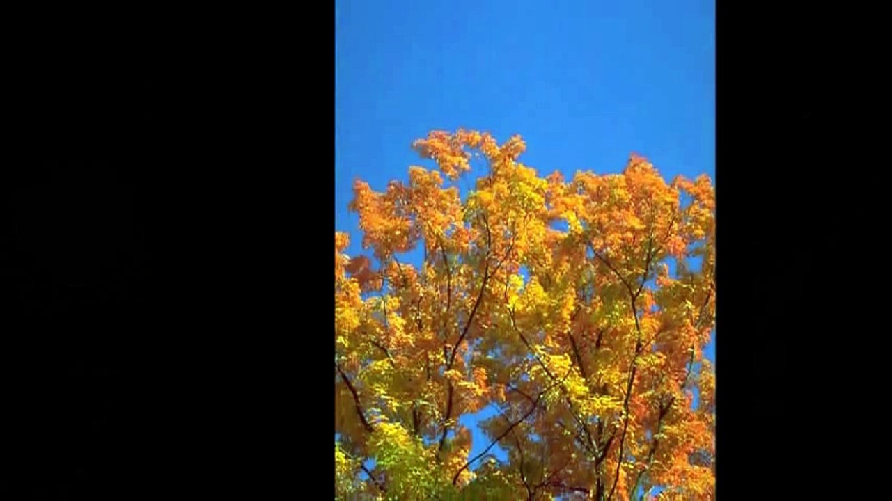 My Spirit Is Free (Part three) - Nostalgia - (1994 album) Is Your Spirit Free-