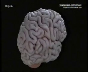 Dopamina: Cerebro lujurioso