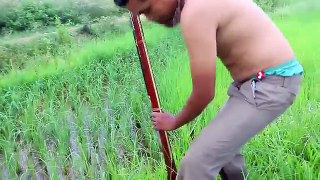 AMAZING Strong Man Fishing By Gun - Catching Fish in cambodian - Fishing in Battambang (Part 4)
