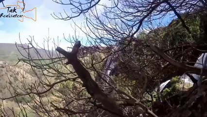 wilaya de saïda (v1)