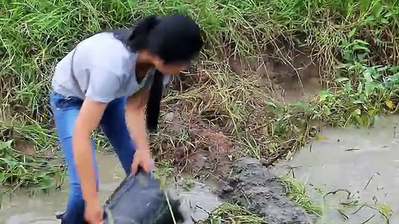 Beautiful Girl Fishing - Amazing Fishing at Battambang - Cambodia Traditional Fishing (Part 77)