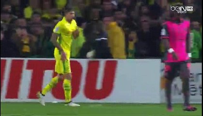 Mariusz Stepinski Goal HD - Nantes 1 - 1	 Toulouse 05.11.2016