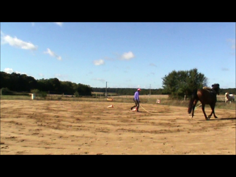 TAP sept 2016, jeu du cercle galop et huit au trot
