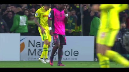 Mariusz Stepinski Goal HD - Nantes 1-1 Toulouse - 05-11-2016