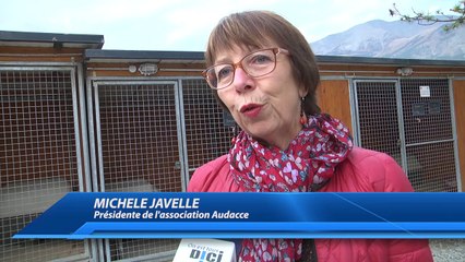 Saint-Pons : Le refuge de l'association Audacce fête ses 10 ans