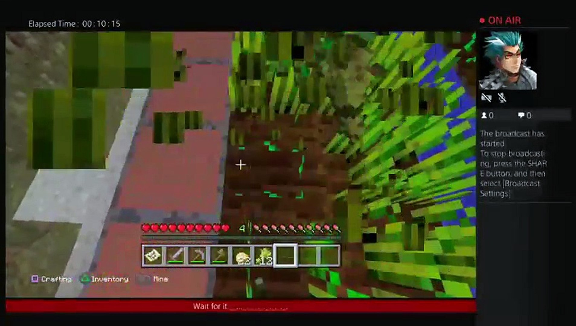 Minecraft pure 100% survival (8)