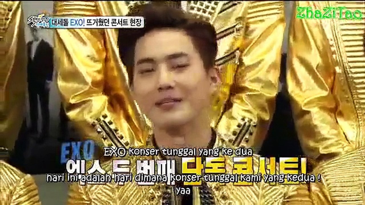 indosub exo sectiontv cut