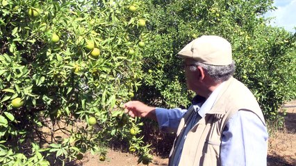 Cyprus town's future hangs in Swiss talks balance