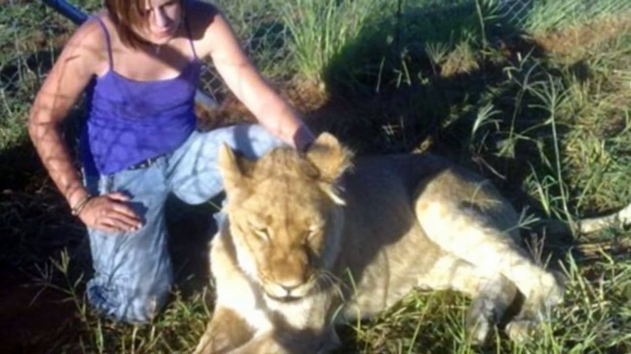 EDAN!!Wanita CANTIK Ini Setiap Malam Tidur Bersama Seekor Singa BUAS