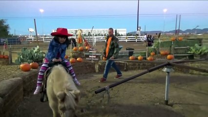 Petting ZOO at the Farm Feeding Horses and Goats Learn Animal Names for Kids part2