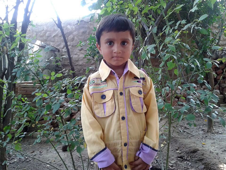 Pakistan funny clips