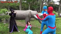 Spiderman become Elsa Frozen Princess Anna Family fun Venom Funny Superheroes in real life