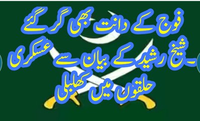 shaikh rasheed talk about army
