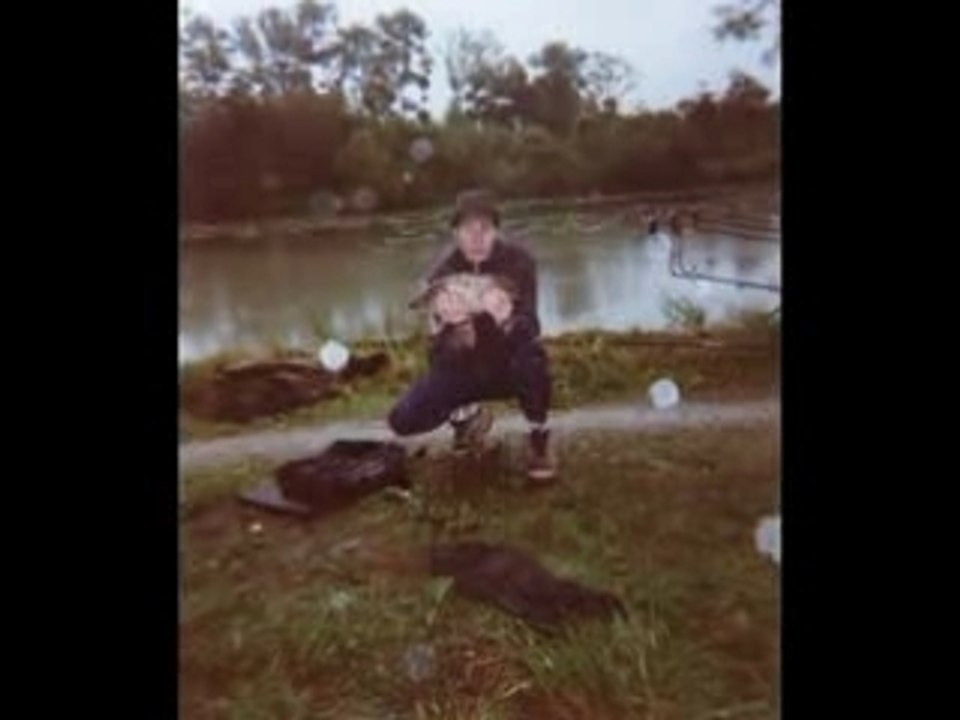 Vidéo sur les carpes.