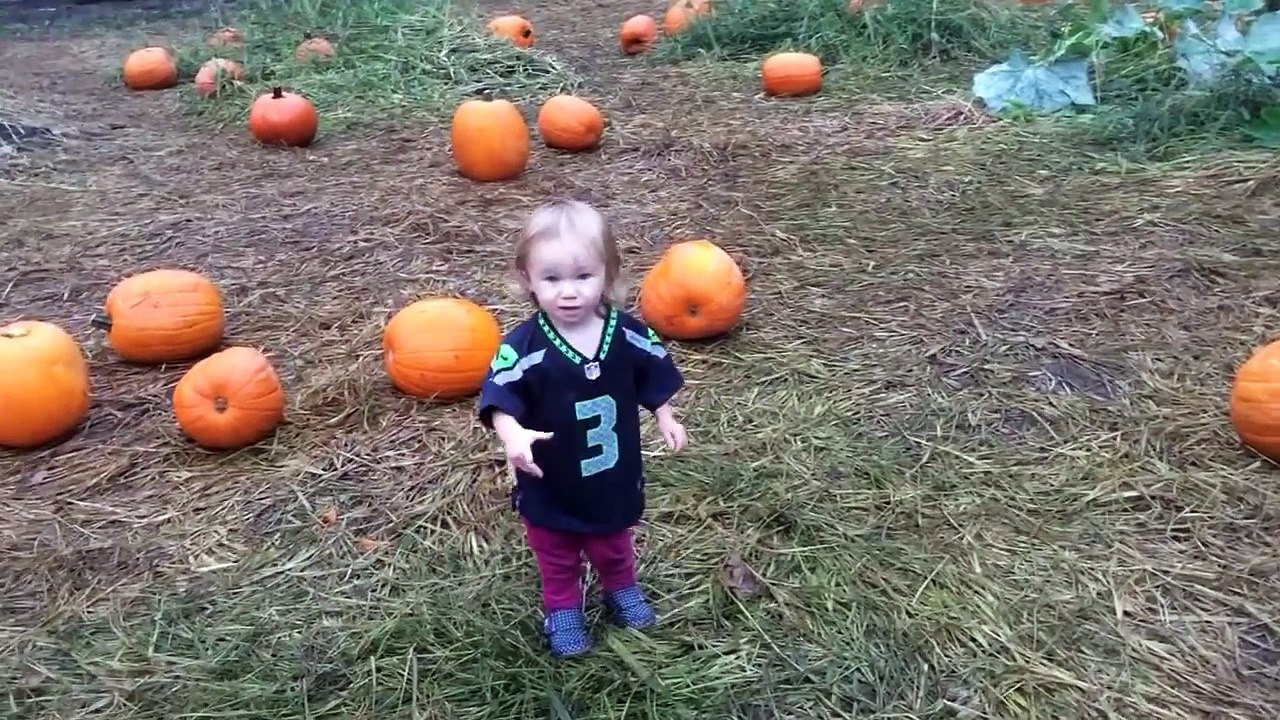 Best Halloween Pumpkins