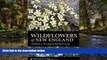 Must Have  Wildflowers of New England: Timber Press Field Guide (A Timber Press Field Guide)  READ