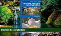 Must Have  Georgia Trees   Wildflowers: A Folding Pocket Guide to Familiar Species (Pocket