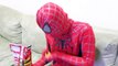 Spiderman vs Joker Toilet Fart Prank Superheroes Webs Fun in real life IRL