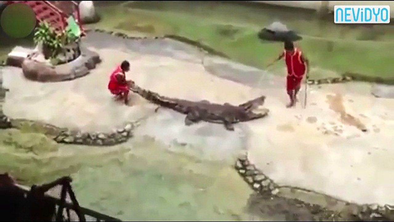 Binlerce kişinin nefesi kesildi! (+18)