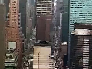 the apprentice s02e11