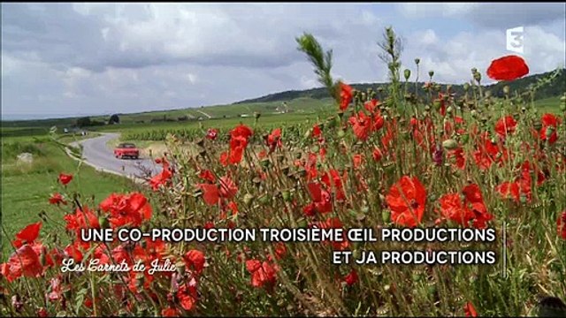 Les carnets de Julie - Julie Andrieu et Thierry Marx