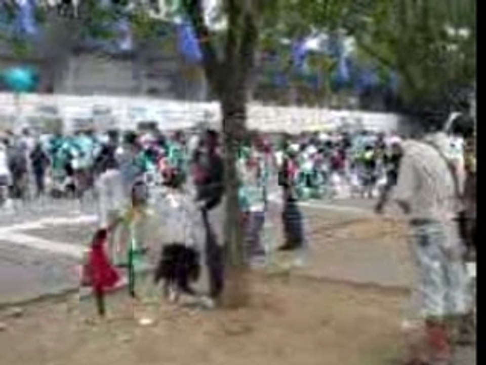 SUPORTER ALGERIE VS BRAZIL