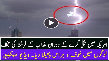 Flying creature Captured During Major Lightning in Los Angeles