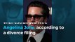 Brad Pitt fights for joint custody of kids in divorce from Angelina Jolie