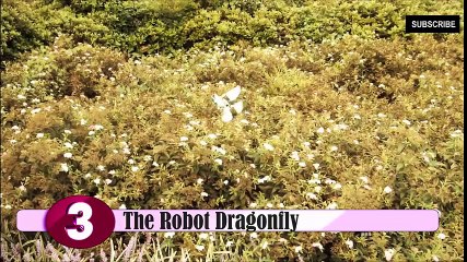 8 Advanced Robots Animal You NEED To See