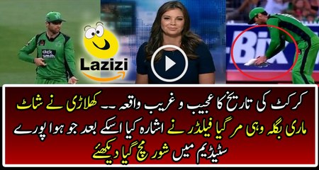 Invalid Input Detected