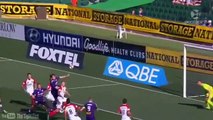 Perth Glory vs Western Sydney Wanderers 2-2. All Goals. A-League 6/11/2016