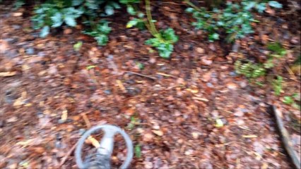 Il trouve un trésor dans la forêt avec un détecteur de métal. Ce qu'il y a dans le coffre Whoa!!!