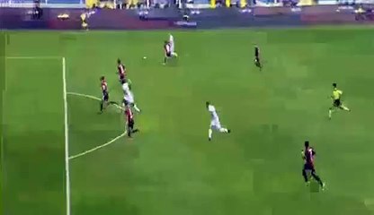 Cyril Théreau Goal - Genoa 0-1 Udinese - 6.11.2016