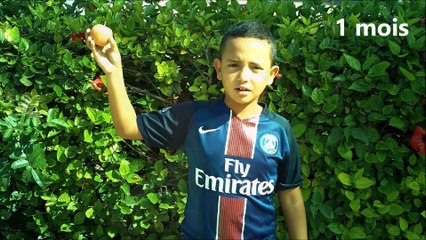 La dégradation des déchets dans l'océan