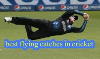 best stunning flying catches in cricket