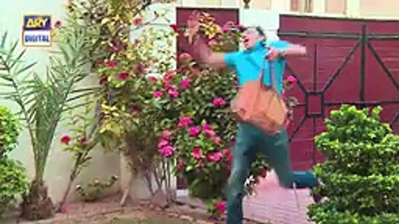 Bulbulay Episode 426 on Ary Digital in High Quality 6th November 2016