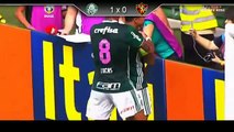 Palmeiras 2 x 1 Sport - Gols & Melhores Momentos - Campeonato Brasileiro 2016