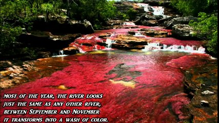 Top 5 Amazing Mysterious Beautiful Places