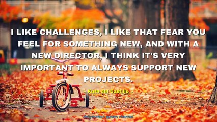 Kate del Castillo Quotes