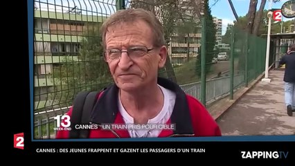 Cannes : une bande de jeunes a frappé et gazé les passagers d'un train (vidéo)