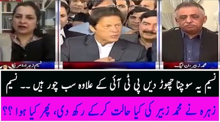 Watch Mohammad Zubair's reaction when Naseem Zahra grilled her on Ferguson's report