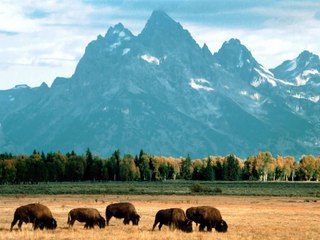 Grand Teton National Park Wyoming