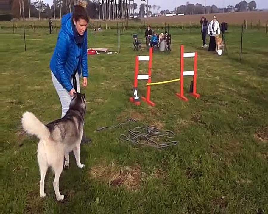Agility oct 2016
