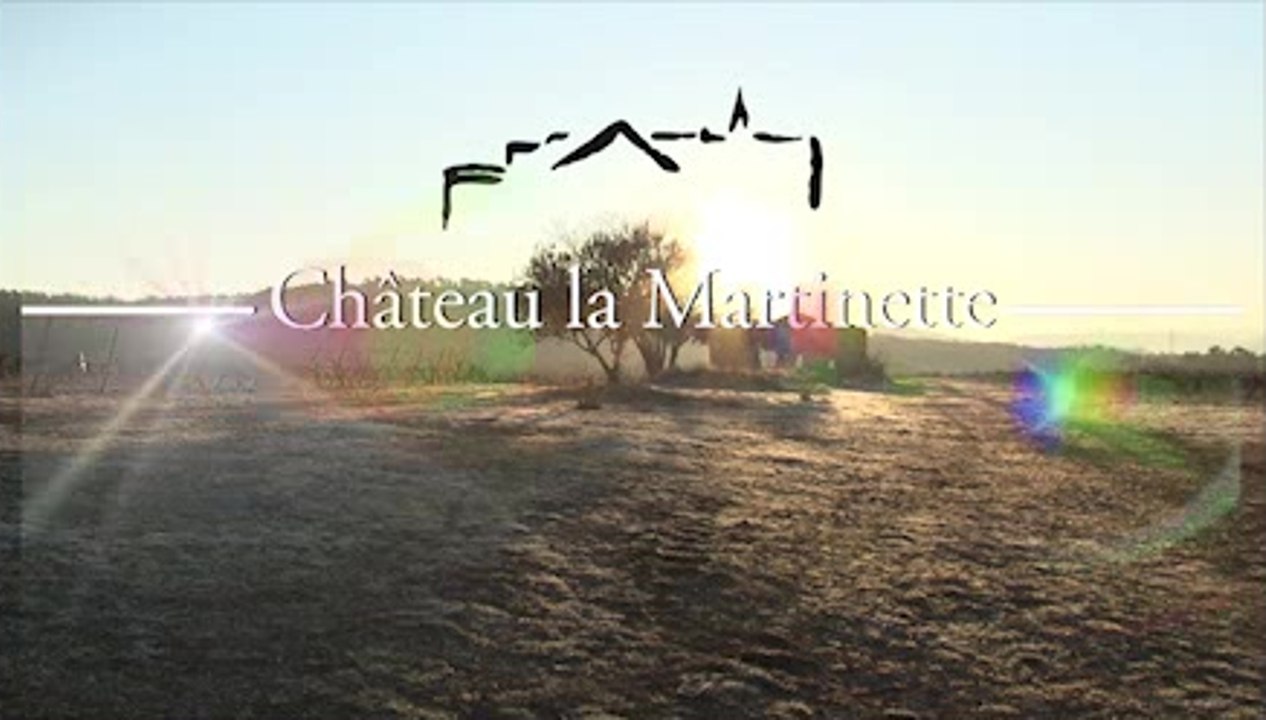 20120219-Chateau La Martinette rétrospective 2012