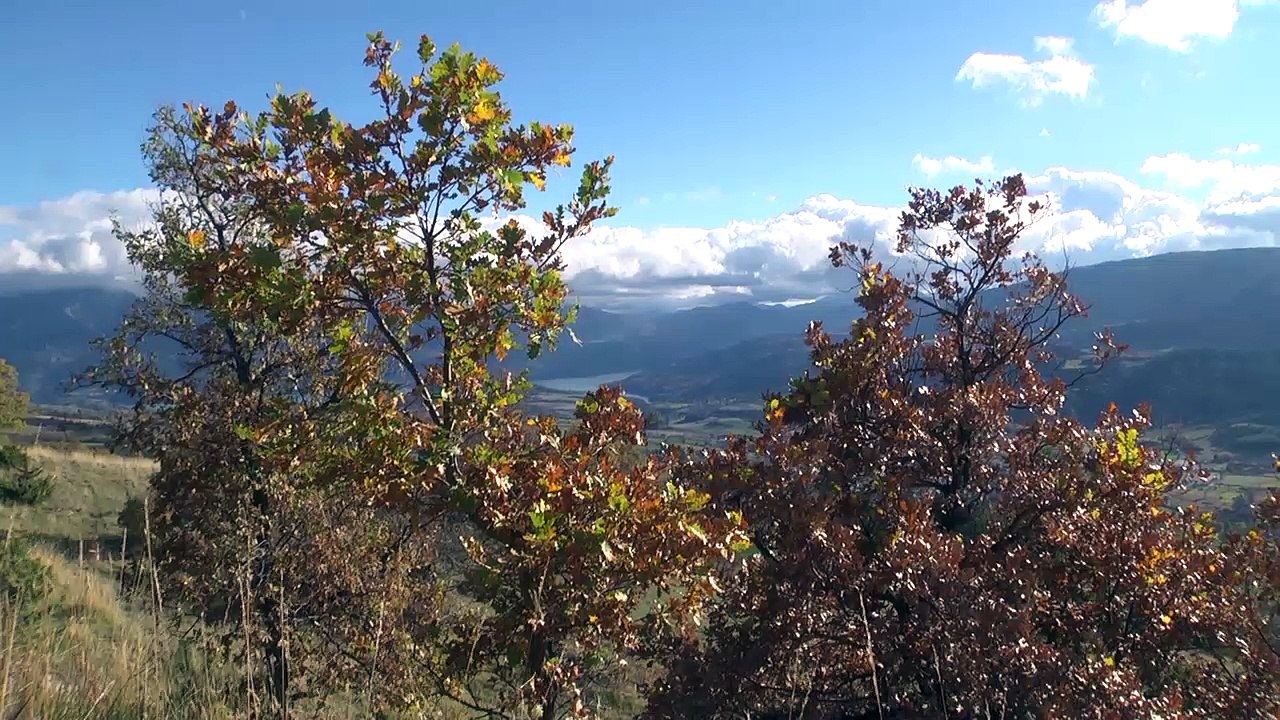 D!CI TV : Alpes du Sud : L'automne arrive dans nos montagne (clip vidéo)