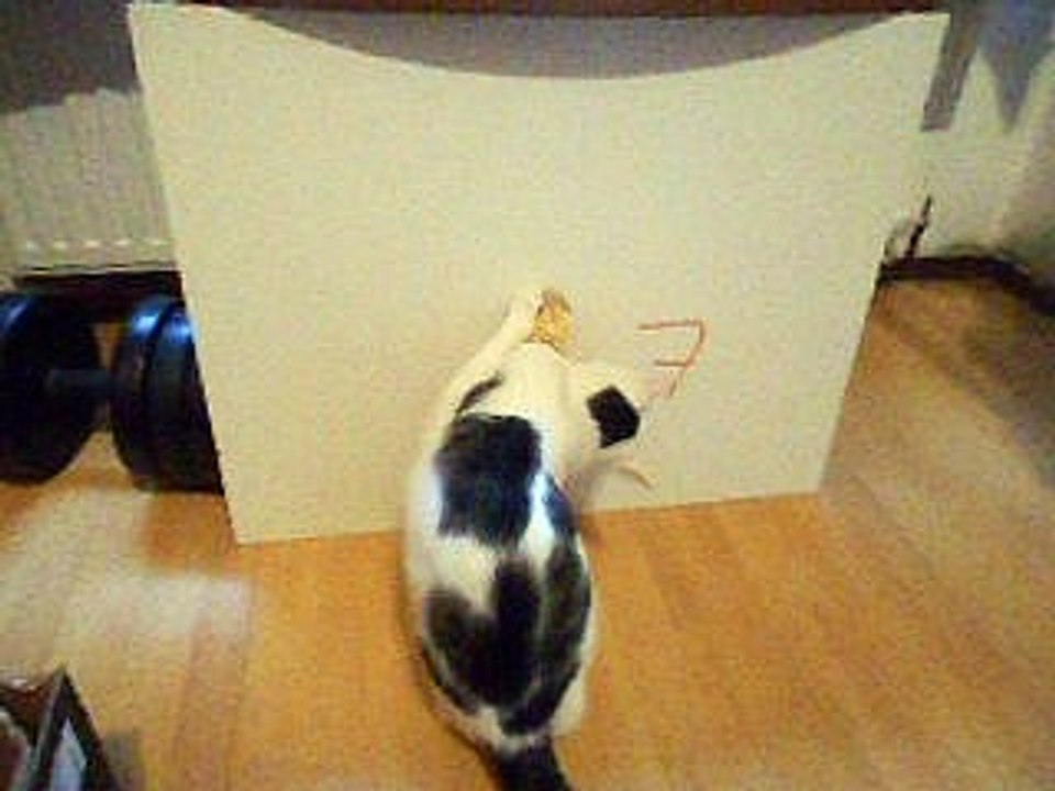 Vinzent am 06.11..2016