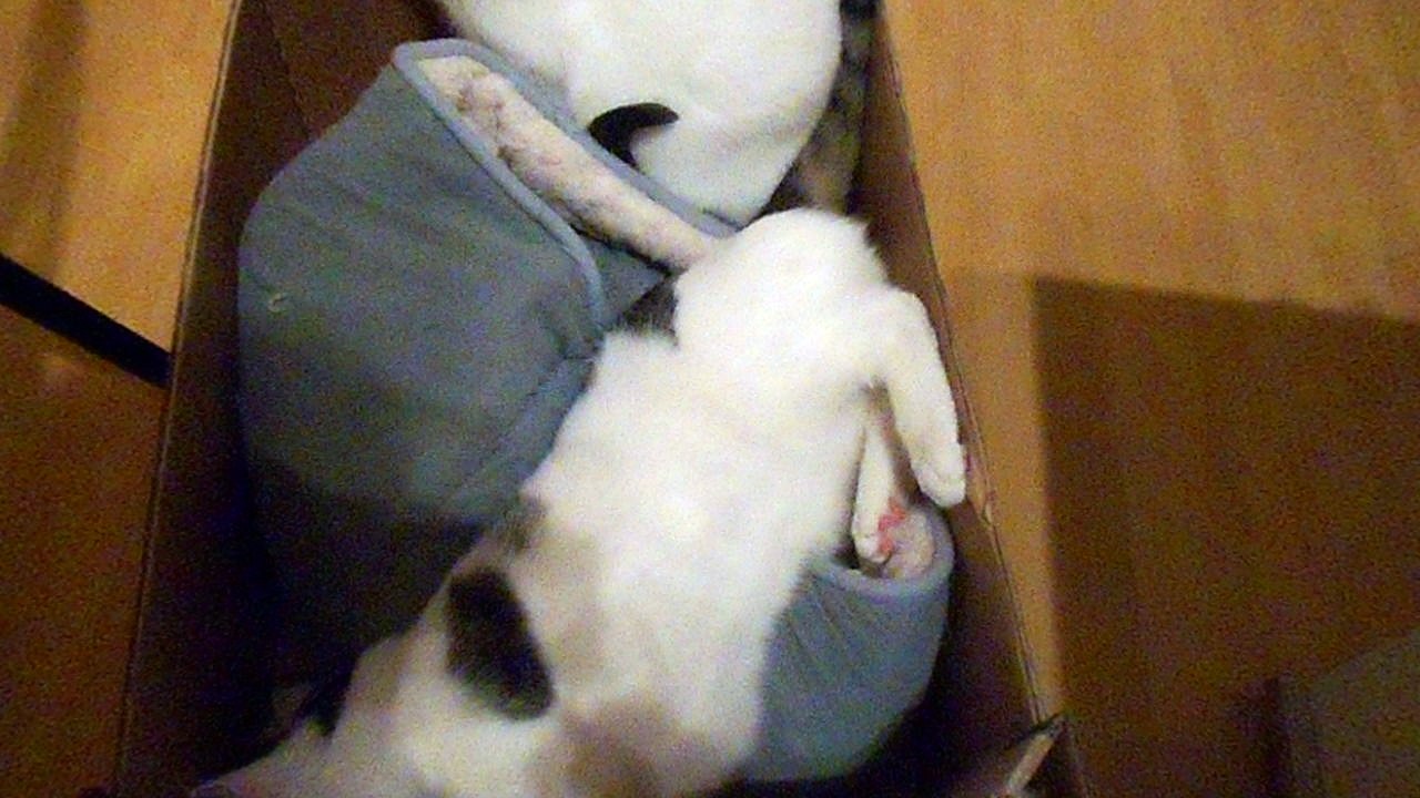 Vinzent am 06.11..2016