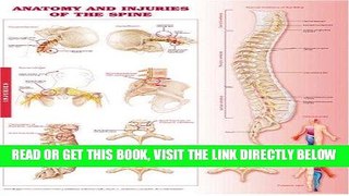 [FREE] EBOOK Anatomy and Injuries of the Spine Anatomical Chart BEST COLLECTION