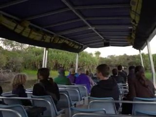 Le débat sur la chasse au crocodile géant ressurgit en Australie